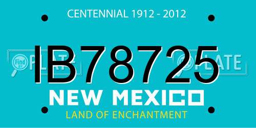 IB78725 New Mexico License Plate