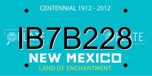 IB7B228 New Mexico License Plate