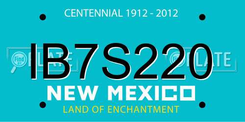IB7S220 New Mexico License Plate