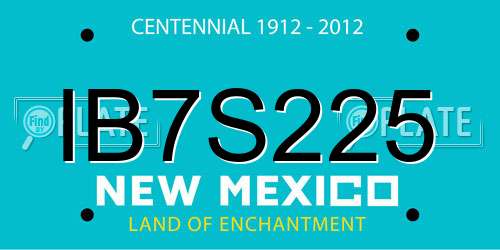 IB7S225 New Mexico License Plate