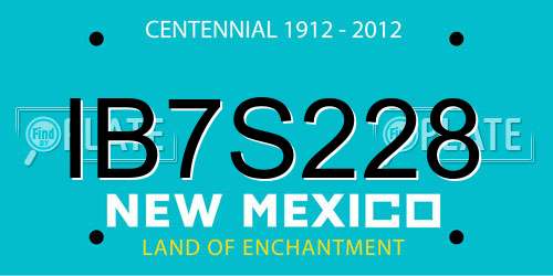 IB7S228 New Mexico License Plate
