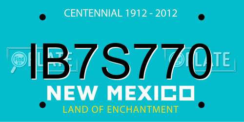 IB7S770 New Mexico License Plate