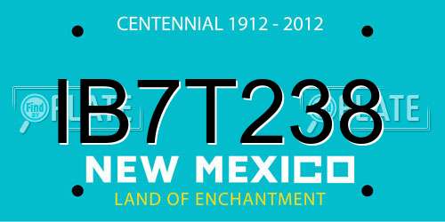 IB7T238 New Mexico License Plate