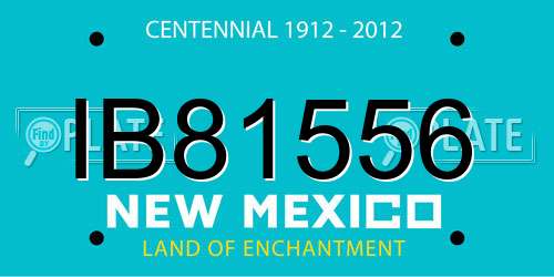IB81556 New Mexico License Plate