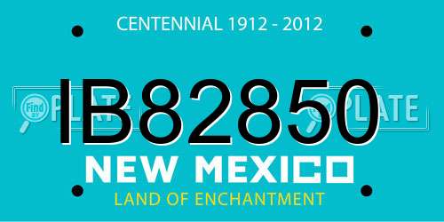 IB82850 New Mexico License Plate