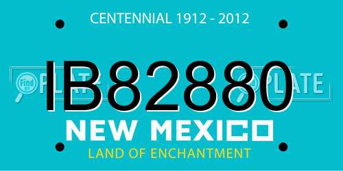 IB82880 New Mexico License Plate