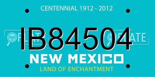 IB84504 New Mexico License Plate