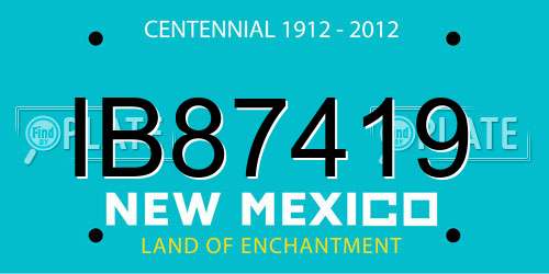 IB87419 New Mexico License Plate