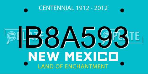IB8A593 New Mexico License Plate