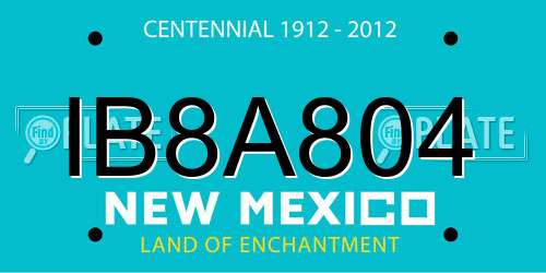 IB8A804 New Mexico License Plate