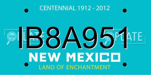 IB8A951 New Mexico License Plate