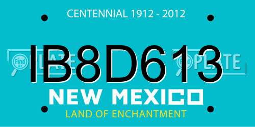 IB8D613 New Mexico License Plate