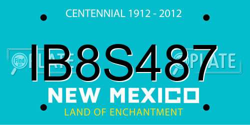 IB8S487 New Mexico License Plate