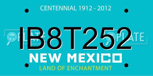 IB8T252 New Mexico License Plate