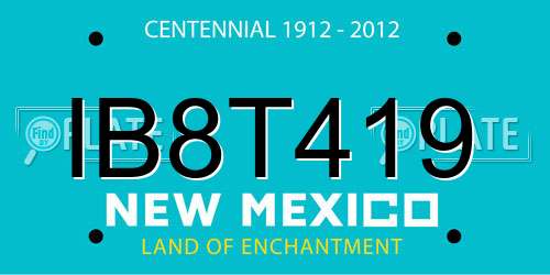 IB8T419 New Mexico License Plate
