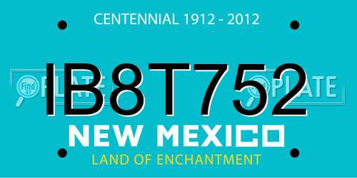 IB8T752 New Mexico License Plate
