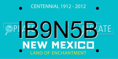 IB9N5B New Mexico License Plate