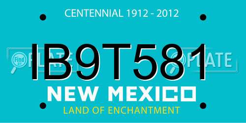 IB9T581 New Mexico License Plate