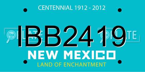 IBB2419 New Mexico License Plate