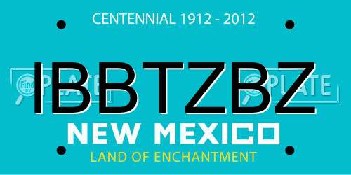 IBBTZBZ New Mexico License Plate