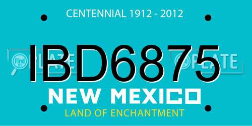 IBD6875 New Mexico License Plate
