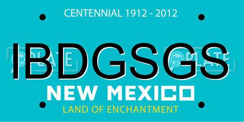 IBDGSGS New Mexico License Plate