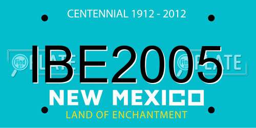 IBE2005 New Mexico License Plate