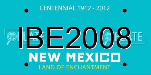 IBE2008 New Mexico License Plate