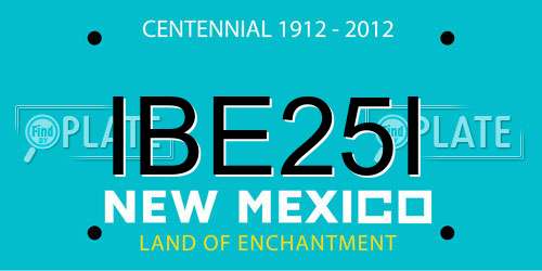 IBE25I New Mexico License Plate