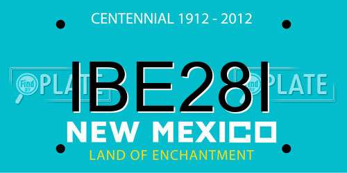 IBE28I New Mexico License Plate