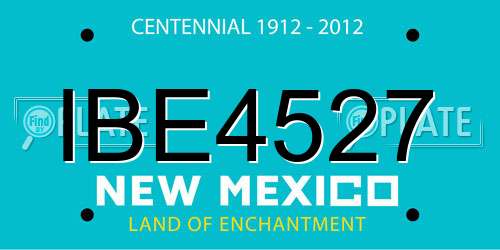IBE4527 New Mexico License Plate