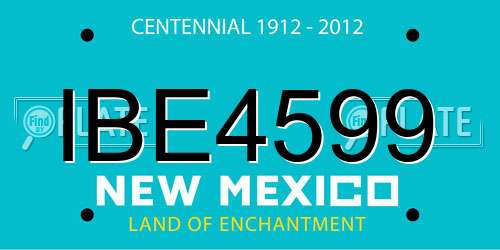 IBE4599 New Mexico License Plate