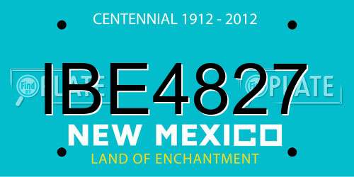 IBE4827 New Mexico License Plate