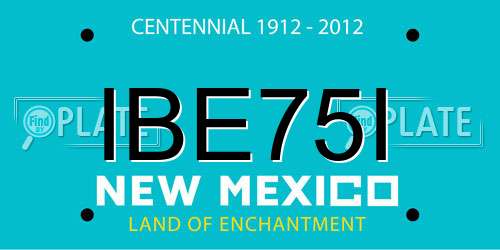 IBE75I New Mexico License Plate