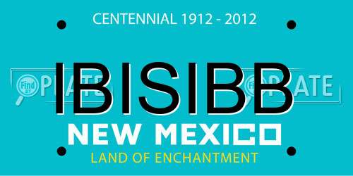 IBISIBB New Mexico License Plate