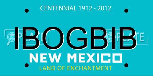 IBOGBIB New Mexico License Plate