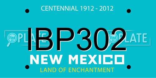 IBP302 New Mexico License Plate