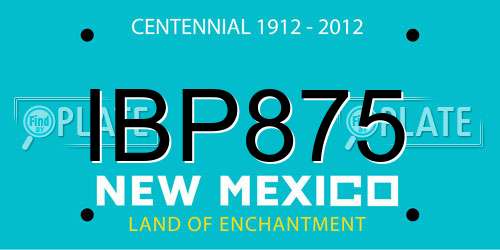 IBP875 New Mexico License Plate