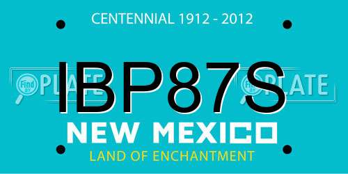 IBP87S New Mexico License Plate