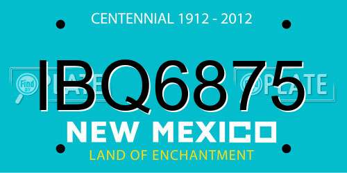 IBQ6875 New Mexico License Plate