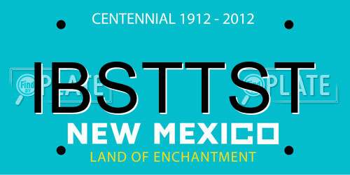 IBSTTST New Mexico License Plate