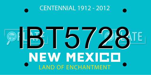 IBT5728 New Mexico License Plate