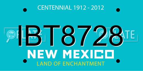 IBT8728 New Mexico License Plate