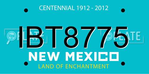IBT8775 New Mexico License Plate
