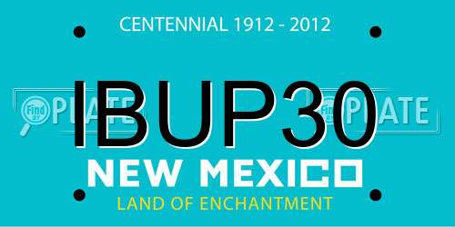 IBUP30 New Mexico License Plate