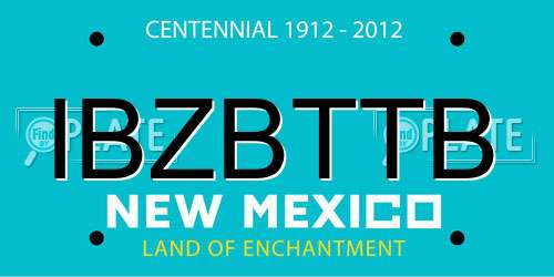 IBZBTTB New Mexico License Plate