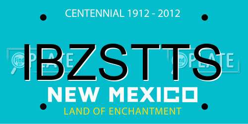 IBZSTTS New Mexico License Plate
