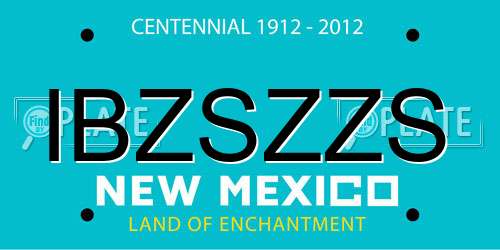 IBZSZZS New Mexico License Plate