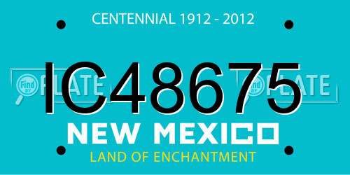 IC48675 New Mexico License Plate