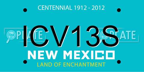 ICV13S New Mexico License Plate